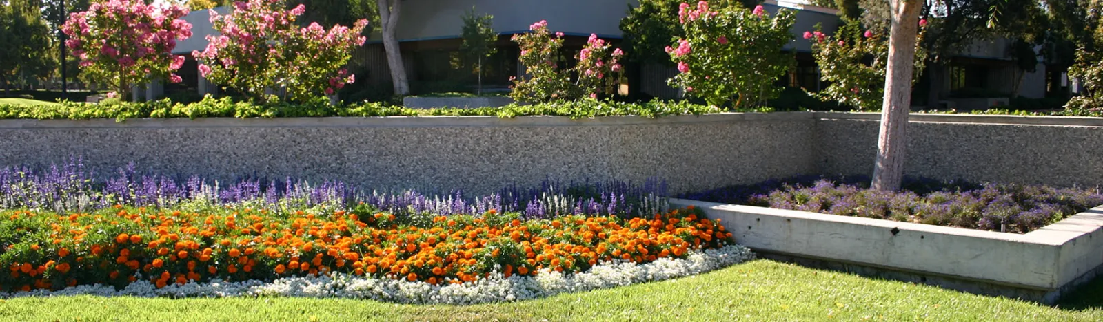 Vista Landscaping Company, Landscaper and Landscaping Services